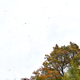 Illustration for article titled Blustery, Overcast Day